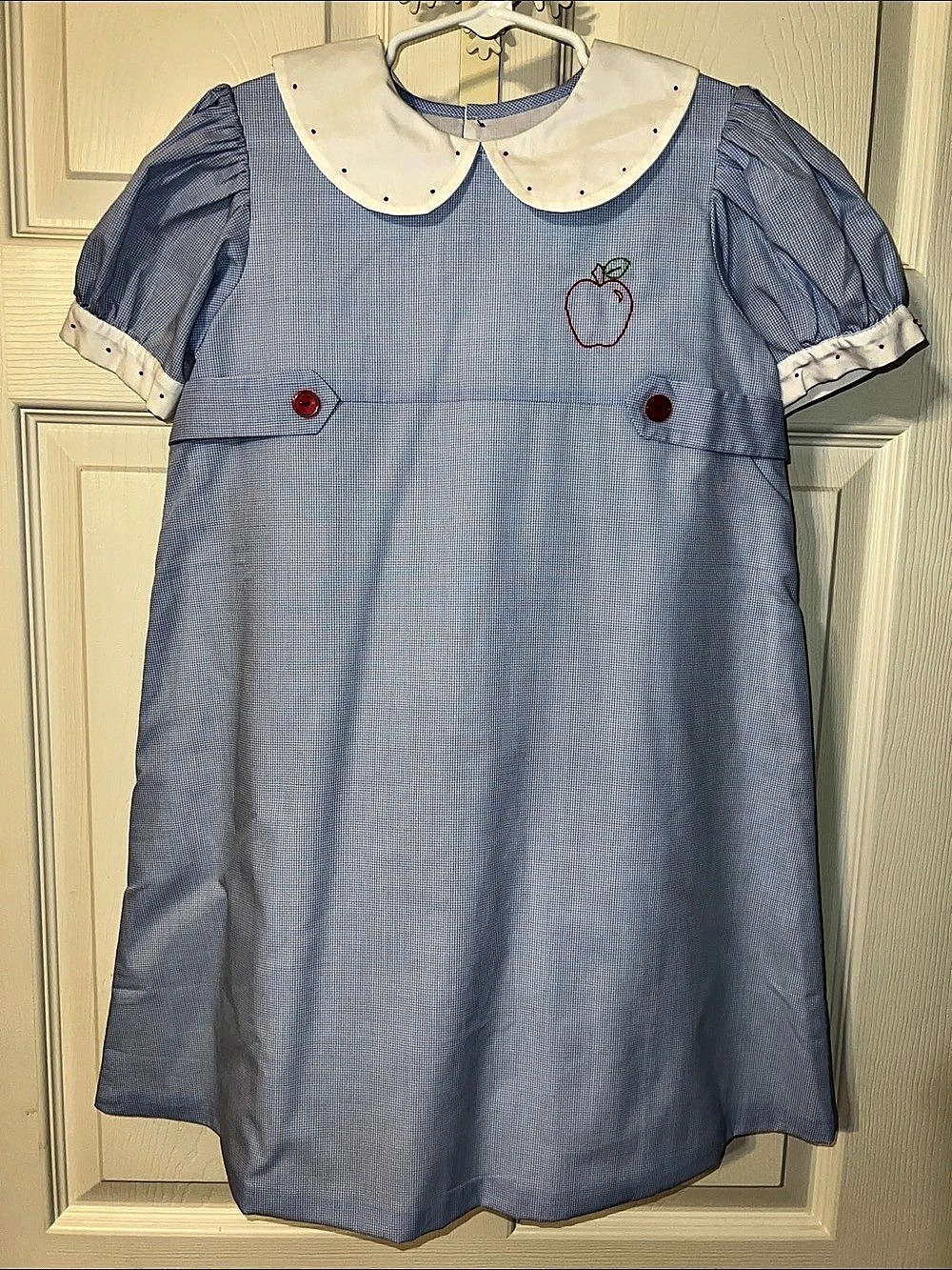R & N Gingham Apple Embroidered Dress NWOT